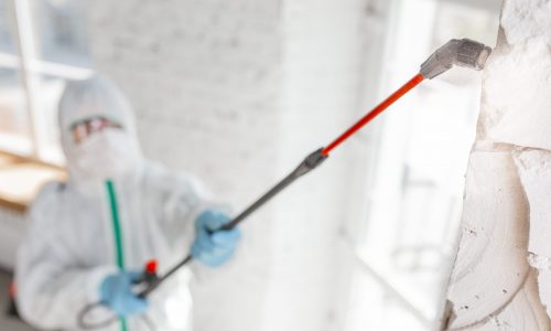 Coronavirus Pandemic. A disinfector in a protective suit and mask sprays disinfectants in the room. Protection of COVID-19 disease. Prevention of spreding pneumonia virus with surfaces we touch.